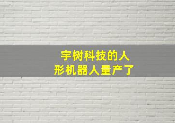 宇树科技的人形机器人量产了