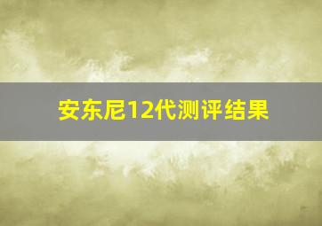 安东尼12代测评结果