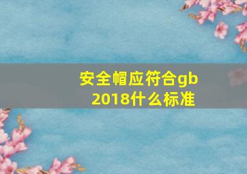 安全帽应符合gb2018什么标准