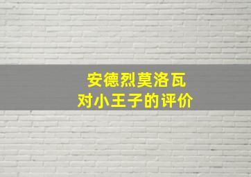 安德烈莫洛瓦对小王子的评价