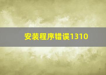 安装程序错误1310