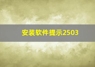 安装软件提示2503