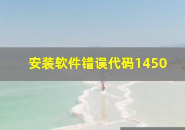 安装软件错误代码1450