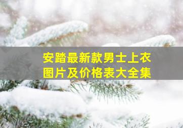 安踏最新款男士上衣图片及价格表大全集