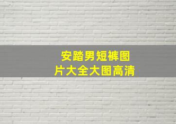 安踏男短裤图片大全大图高清