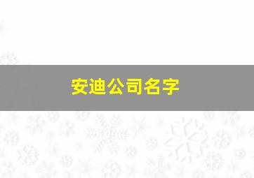 安迪公司名字