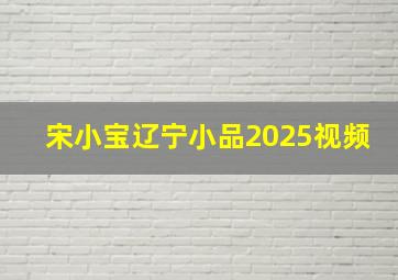 宋小宝辽宁小品2025视频