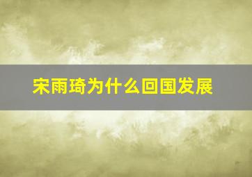 宋雨琦为什么回国发展