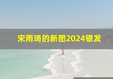 宋雨琦的新图2024银发