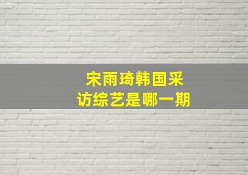 宋雨琦韩国采访综艺是哪一期