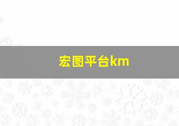 宏图平台km