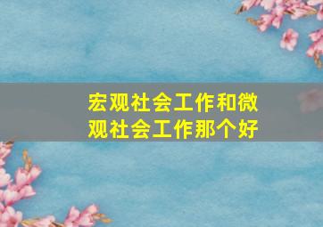 宏观社会工作和微观社会工作那个好