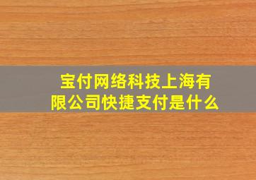 宝付网络科技上海有限公司快捷支付是什么