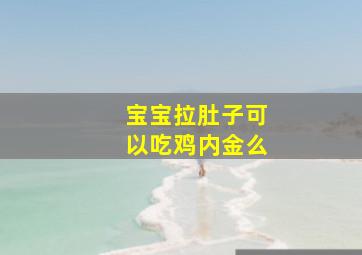 宝宝拉肚子可以吃鸡内金么