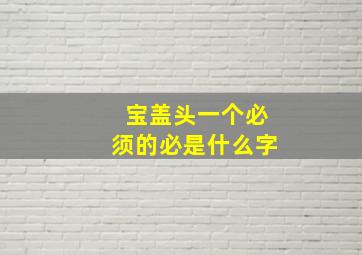 宝盖头一个必须的必是什么字