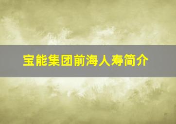 宝能集团前海人寿简介