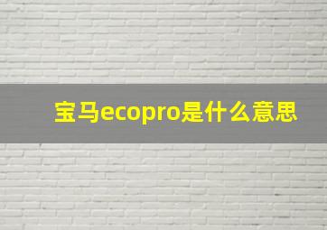 宝马ecopro是什么意思