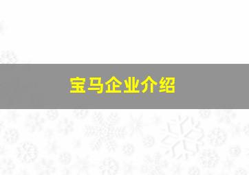 宝马企业介绍