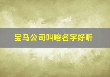 宝马公司叫啥名字好听