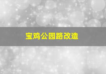 宝鸡公园路改造