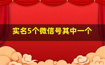 实名5个微信号其中一个