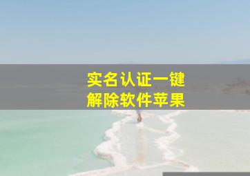 实名认证一键解除软件苹果