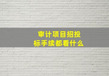 审计项目招投标手续都看什么