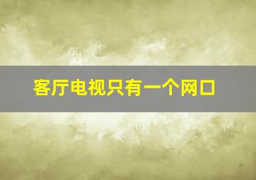 客厅电视只有一个网口