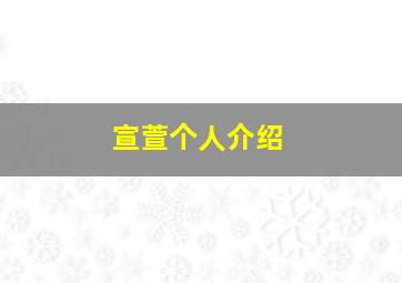 宣萱个人介绍