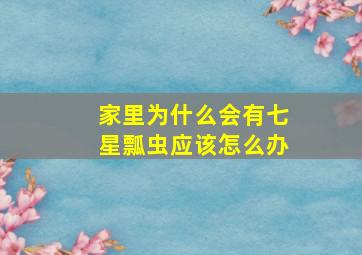 家里为什么会有七星瓢虫应该怎么办