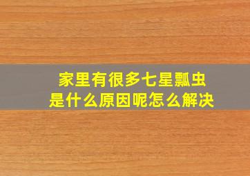 家里有很多七星瓢虫是什么原因呢怎么解决