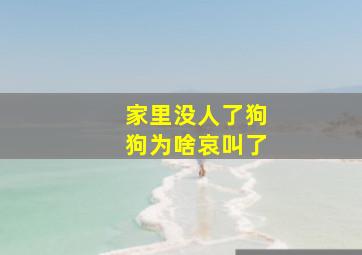 家里没人了狗狗为啥哀叫了