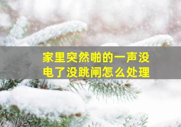 家里突然啪的一声没电了没跳闸怎么处理