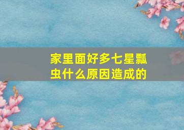 家里面好多七星瓢虫什么原因造成的