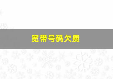 宽带号码欠费