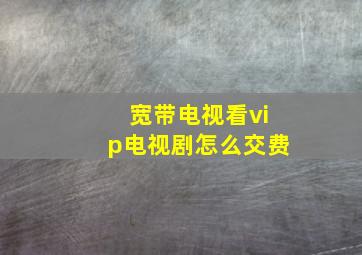 宽带电视看vip电视剧怎么交费