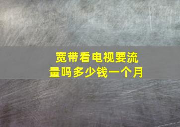 宽带看电视要流量吗多少钱一个月