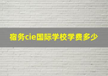 宿务cie国际学校学费多少