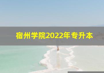 宿州学院2022年专升本