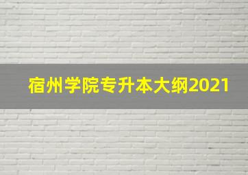 宿州学院专升本大纲2021