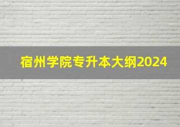 宿州学院专升本大纲2024