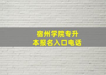 宿州学院专升本报名入口电话