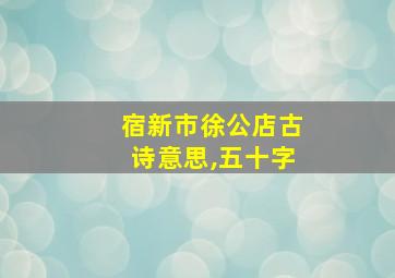 宿新市徐公店古诗意思,五十字