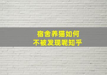 宿舍养猫如何不被发现呢知乎