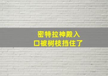 密特拉神殿入口被树枝挡住了