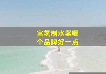 富氢制水器哪个品牌好一点