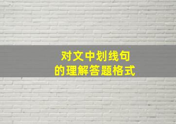 对文中划线句的理解答题格式