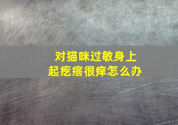 对猫咪过敏身上起疙瘩很痒怎么办