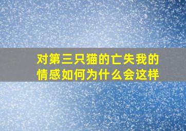 对第三只猫的亡失我的情感如何为什么会这样