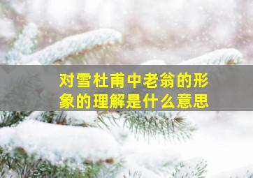 对雪杜甫中老翁的形象的理解是什么意思